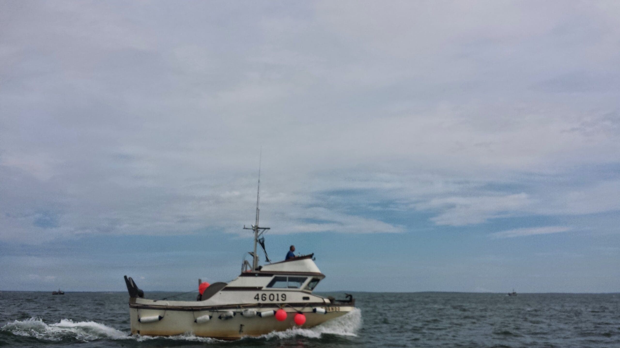 20140705_160016(0)